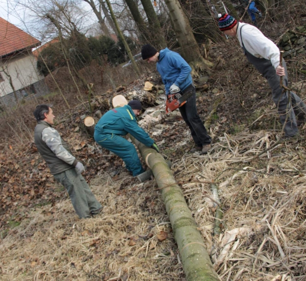 Úprava břehů 21.2.2015 - 12