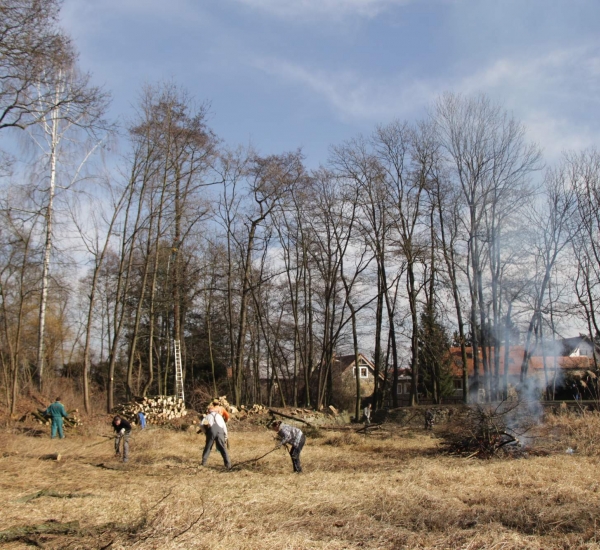 Úprava břehů 21.2.2015 - 11